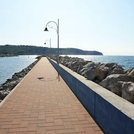 Sandi Izola