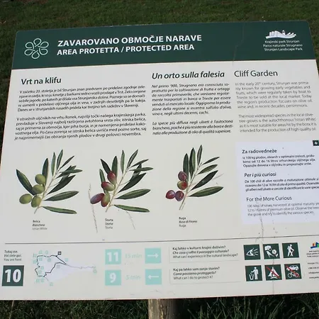 Sandi Privatunterkunft Izola